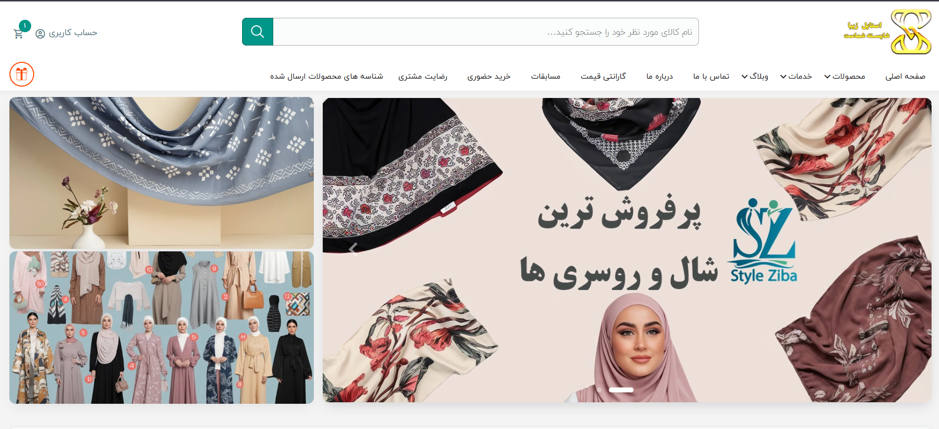 Website Development & Improvement — Styleziba
